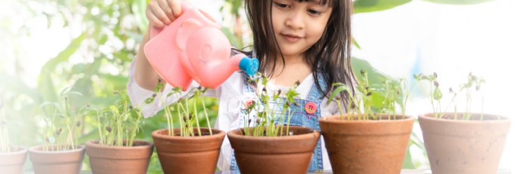 Gardening